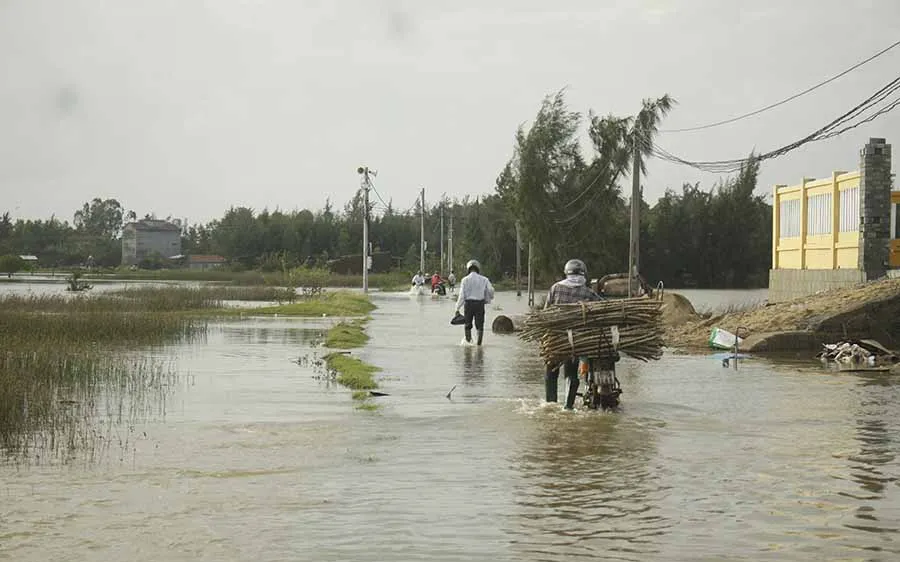 Lũ trên các sông Quảng Ngãi đạt đỉnh và đang xuống
