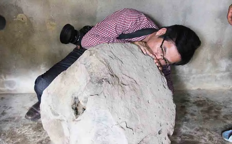 Quảng Ngãi: Phát hiện Tù Và bằng đá, nặng 200kg trên thảo nguyên