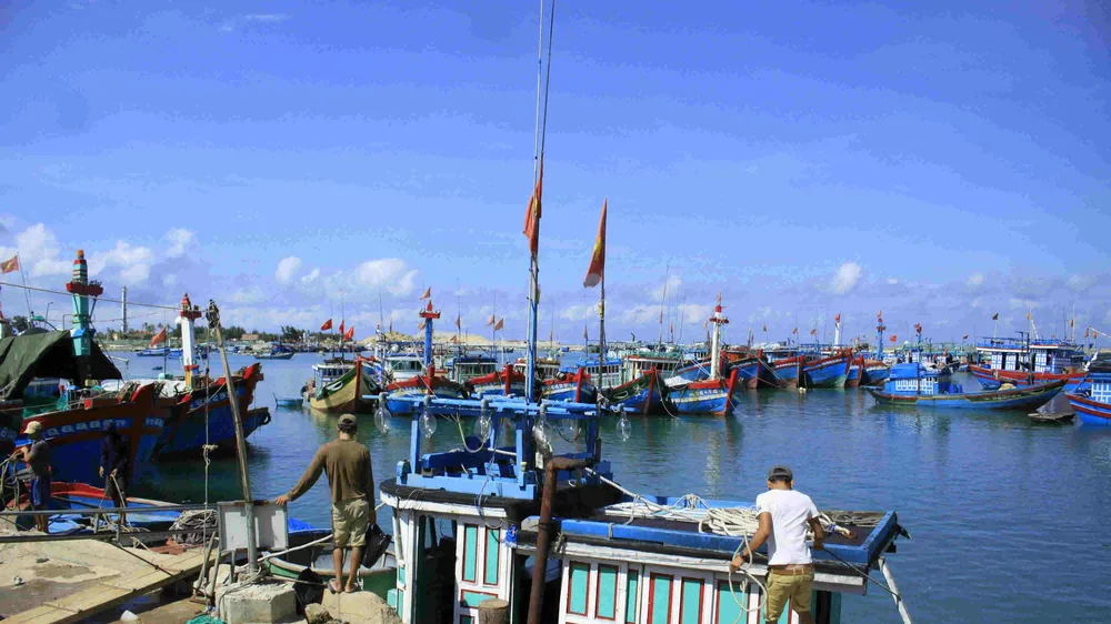 Phát hiện nhiều tàu cá tận diệt thủy sản trong Khu bảo tồn biển Lý Sơn (Quảng Ngãi)