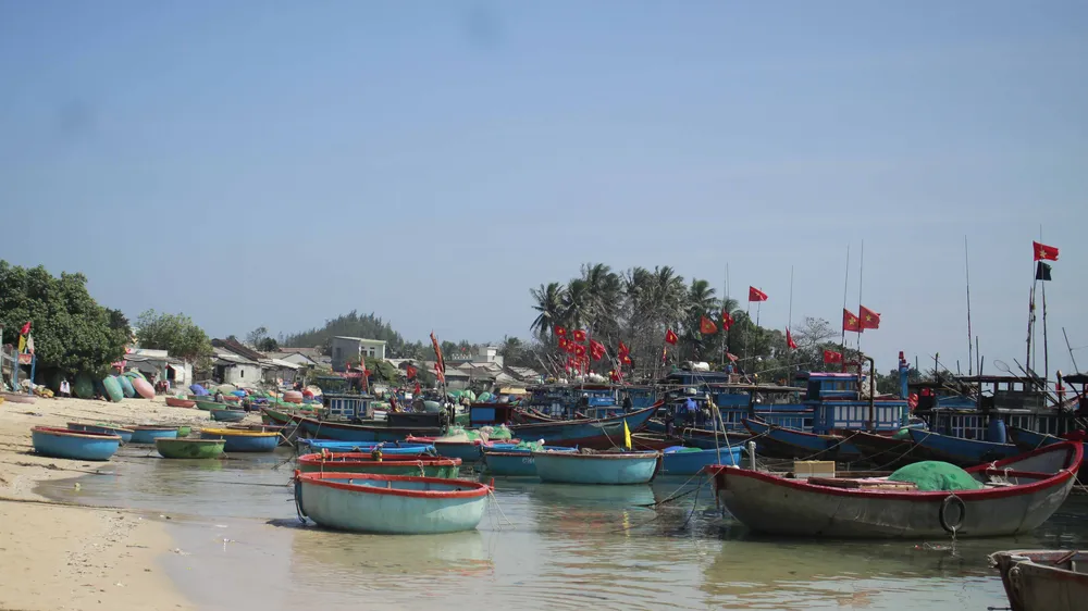Quảng Ngãi: 23 tàu cá không được đăng kiểm, ngư dân cần hỗ trợ