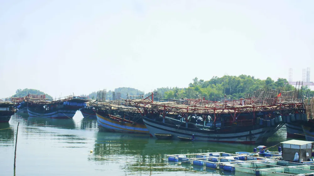 Quảng Ngãi: Ngư dân rơi xuống biển mất tích