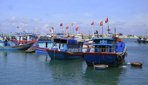 Quảng Ngãi phải quyết liệt hơn với chống đánh bắt hải sản bất hợp pháp