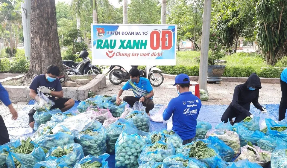 Quảng Ngãi: Nông dân sẵn lòng cho cả ruộng rau hỗ trợ nơi khó khăn do dịch Covid-19