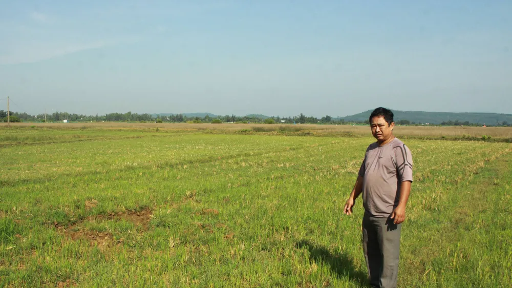 Quảng Ngãi: 60ha ruộng bỏ hoang sẽ quy hoạch Bến du thuyền