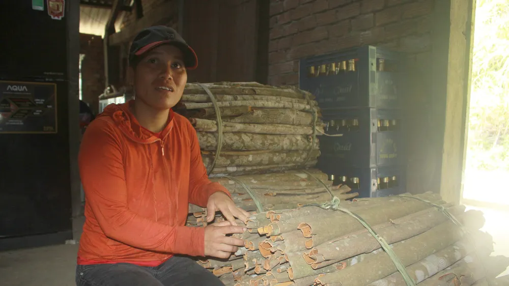 Tiềm năng vùng đồng bào dân tộc thiểu số và miền núi Quảng Ngãi chưa phát huy được lợi thế