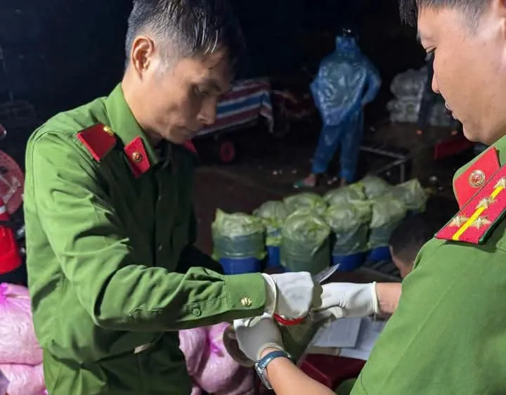Phát hiện một cơ sở dùng hóa chất sản xuất giá đỗ ở Quảng Ngãi