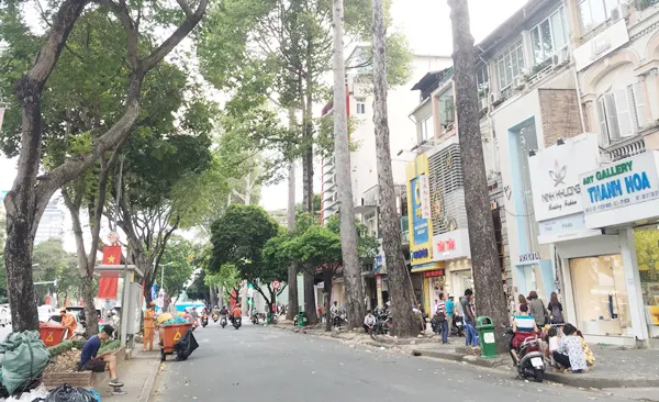 Xử lý 28 cây xanh trên đường Lê Lợi do ảnh hưởng tuyến metro