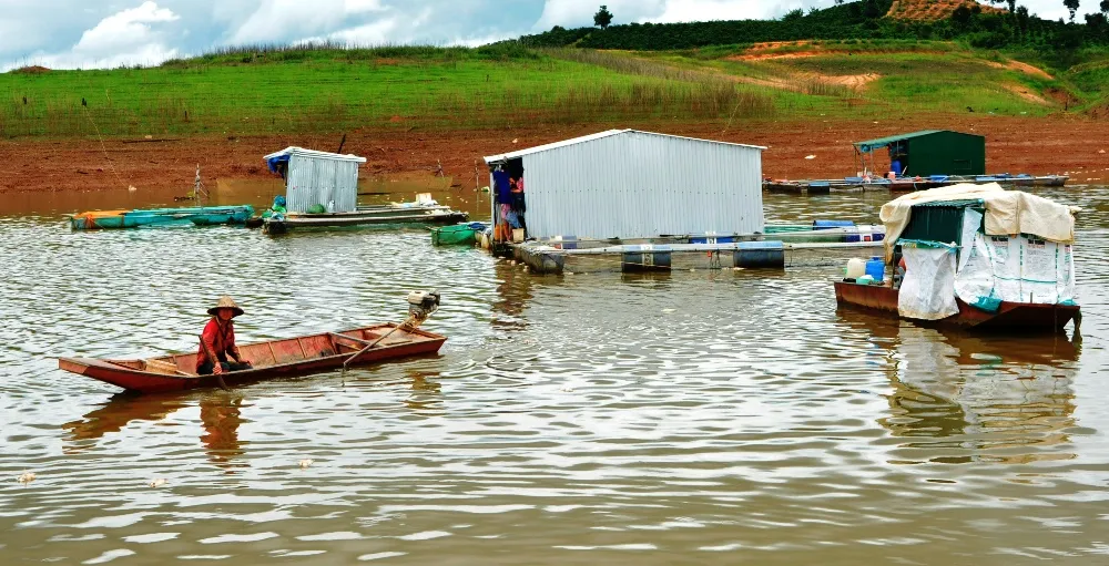 Khoanh nợ cho các gia đình bị thiệt hại do cá chết trên hồ thủy điện