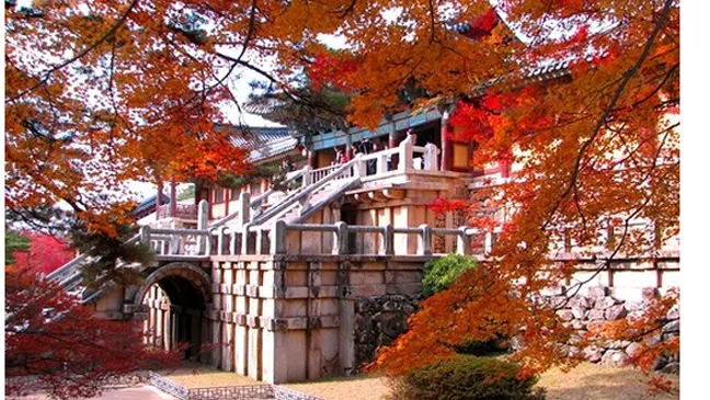 Thành phố Daegu và tỉnh Gyeongbuk quảng bá du lịch tại TPHCM