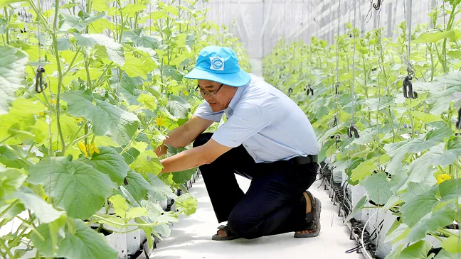 Tiệm cận nông nghiệp 4.0