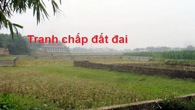 Đất đang tranh chấp vẫn được cấp dự án