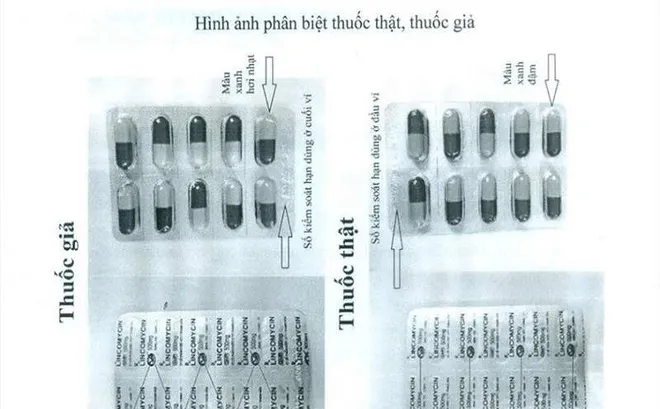 Khẩn trương làm rõ nguồn gốc thuốc Lincomycin giả