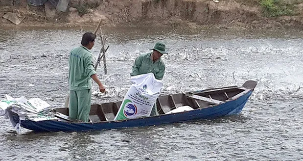 Thức ăn thủy sản Ocialis đoạt “Chất lượng vàng Thủy sản Việt Nam 2017”