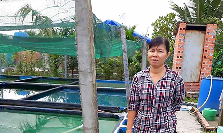 Nuôi cá cảnh - làm thử, ăn thật
