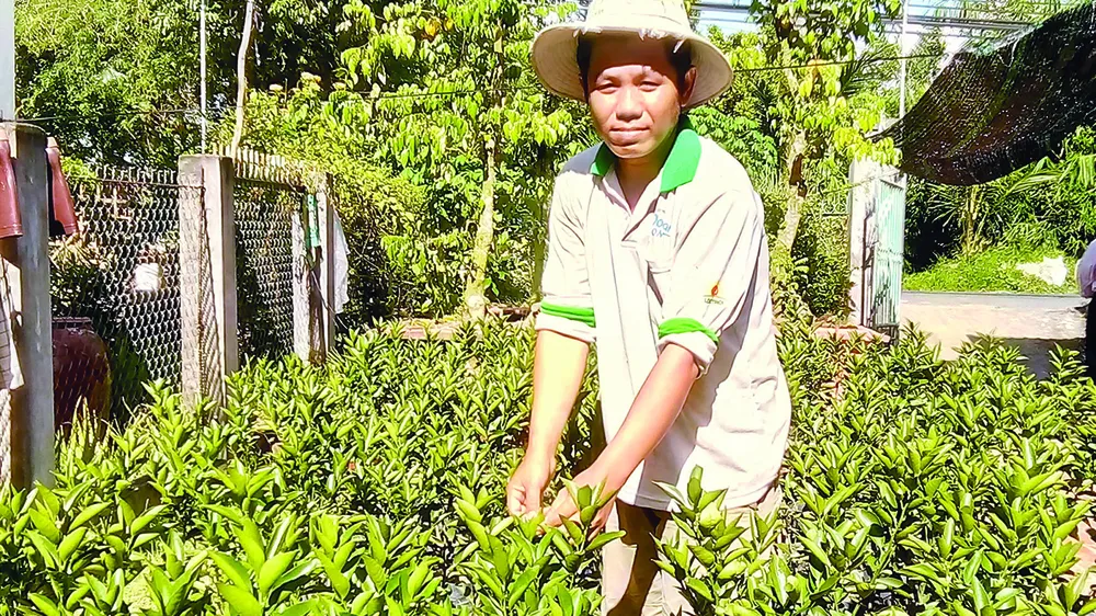 Khởi sắc làng quê