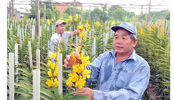 Rào cản