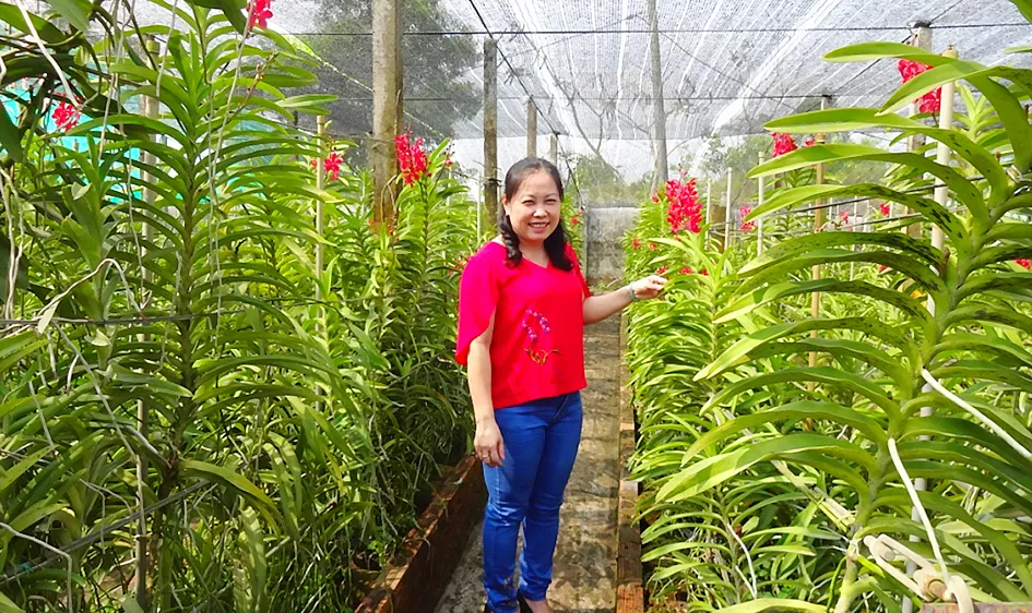 Thu nhập 400 triệu đồng/năm từ lan