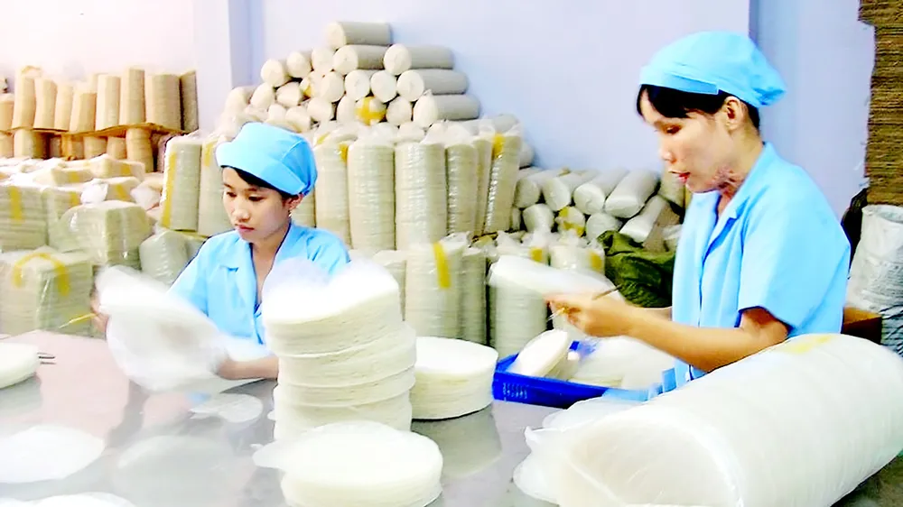Nông nghiệp TPHCM phát triển theo mô hình nào? - Bài 2: Ưu tiên phát triển kinh tế tập thể 
