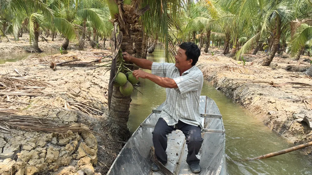 Khi nông dân TPHCM “chuyển bộ”