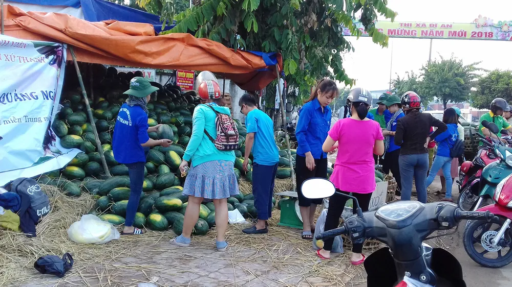 Sinh viên giúp nông dân vượt khó