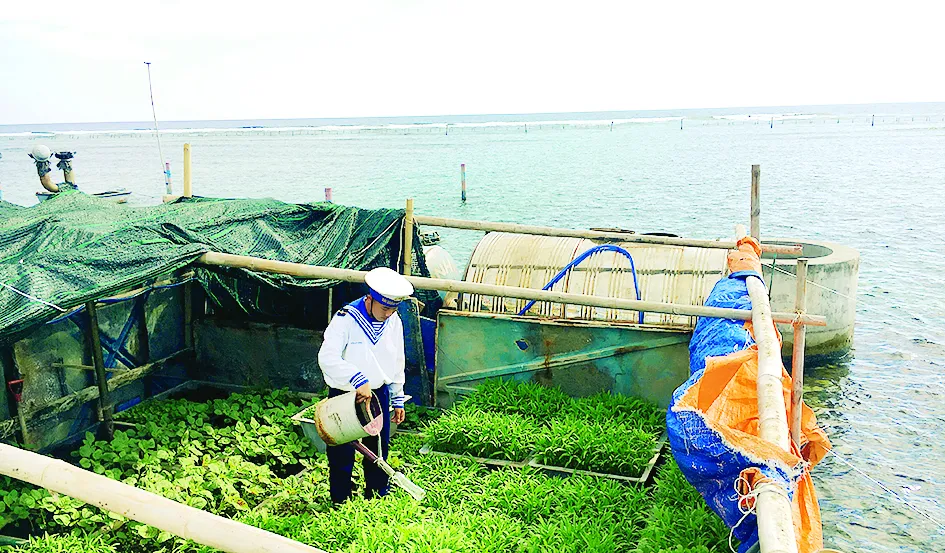 Nhịp sống Trường Sa