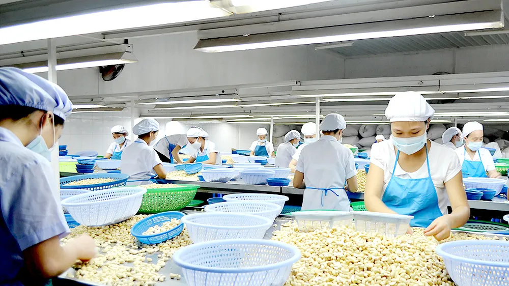 Cấp bách tái cơ cấu ngành điều