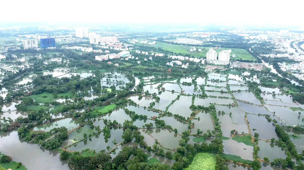 TPHCM chuyển đổi 26.000ha đất nông nghiệp: Thị trường bất động sản sẽ có biến động