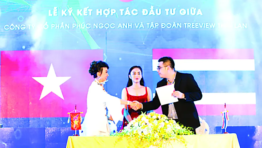 Tivi AKINO dành cho người Việt 