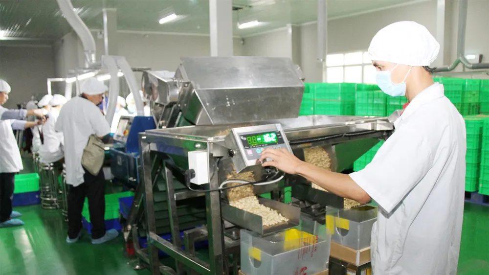 Ngành điều toàn cầu hướng đến sự ổn định