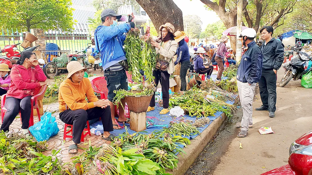 Cạn kiệt lan rừng