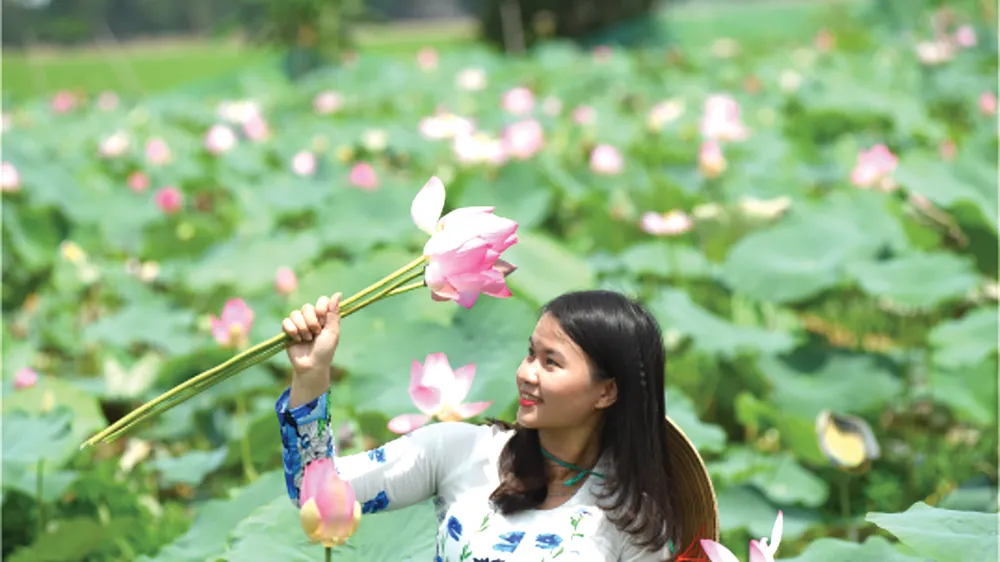 Kết quả phát động phong trào thi đua “Sáng tạo để phát triển” trong Công ty TNHH MTV XSKT Đồng Tháp