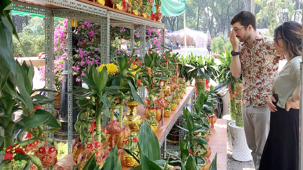 Ngược xuôi, chạy đua cùng tết