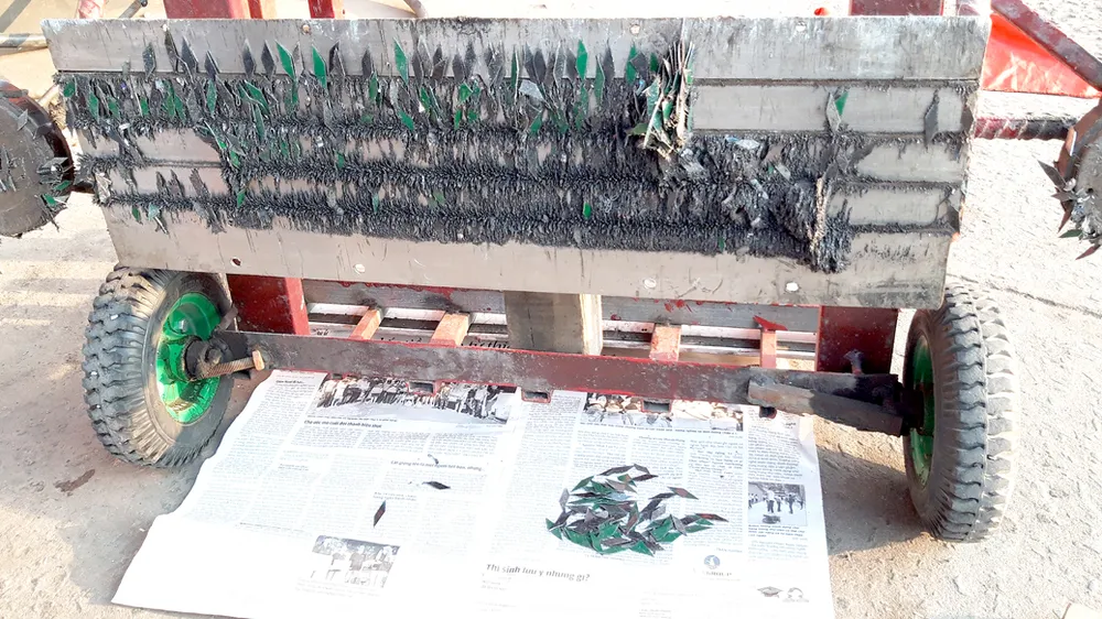 Gam màu đẹp về tình cộng đồng