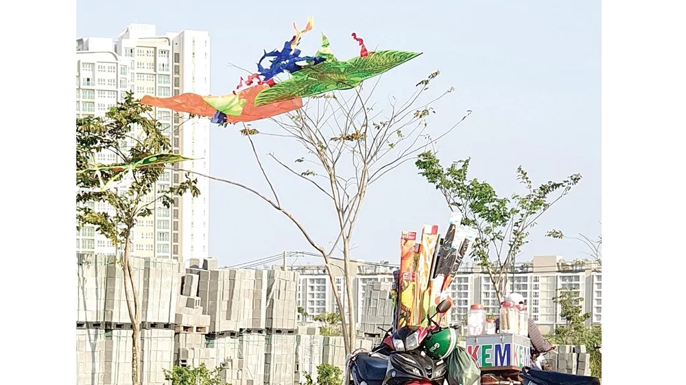 Mùa diều về phố