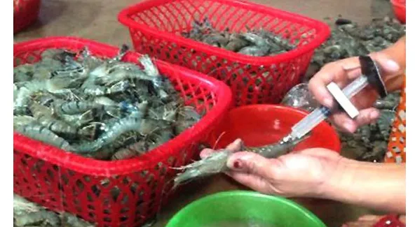 Mẫu thủy sản và sản phẩm thủy sản vi phạm chỉ tiêu hóa chất tăng