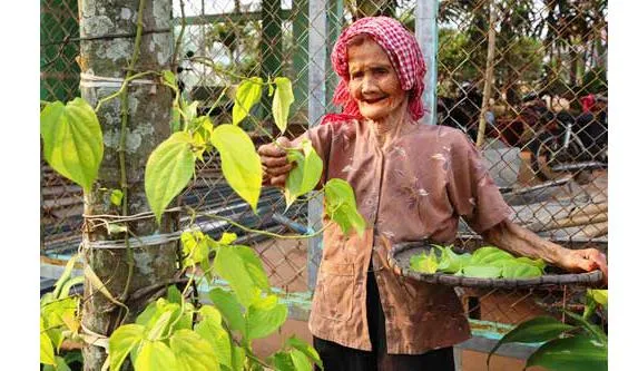 Mẹ tôi