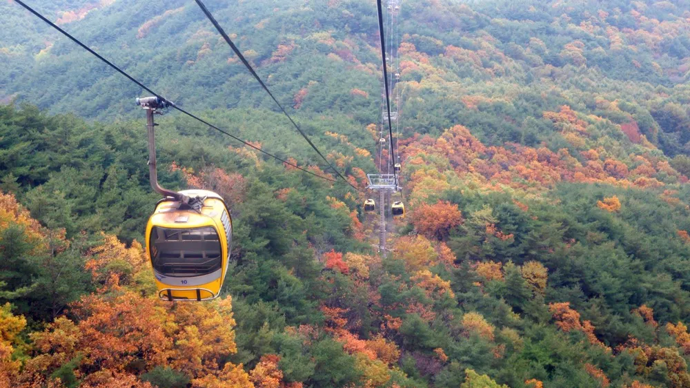 Núi Palgongsan, ở thành phố Daegu. Ảnh: KTO