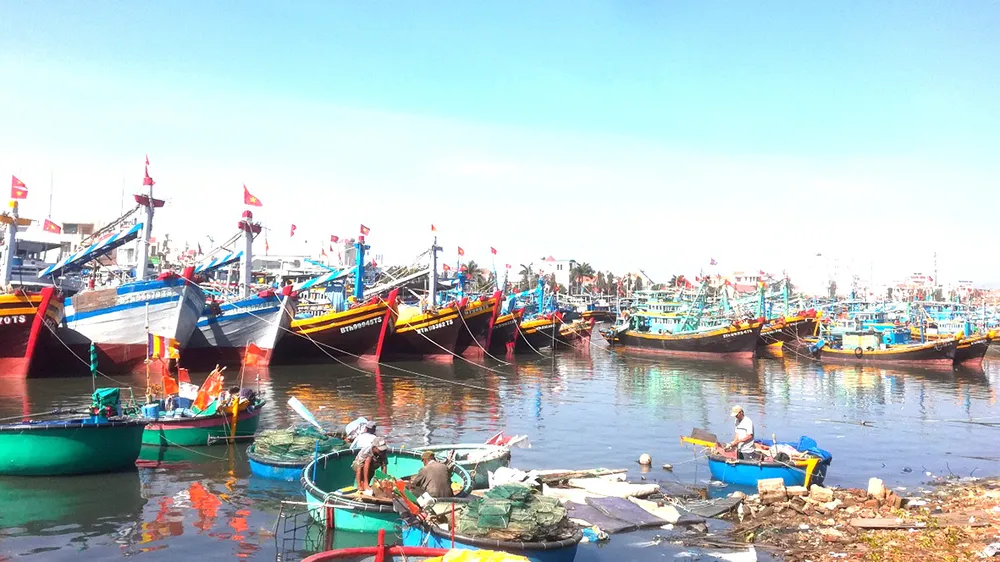 Tàu cá nằm bờ vì thiếu hụt lao động