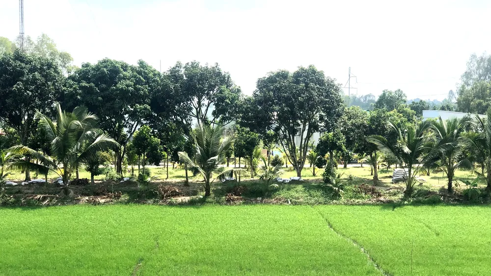 Những thanh âm thân thuộc