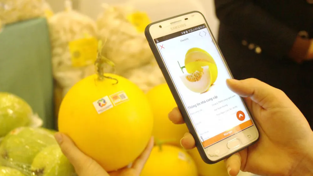 Hỗ trợ truy xuất hàng hóa và phát triển xuất khẩu