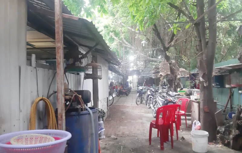 Khổ vì mua đất bằng giấy tay