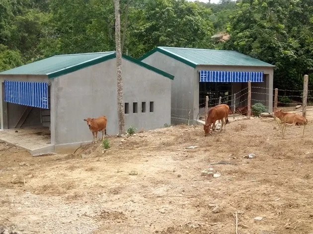 Khởi tố 4 bị can liên quan đề án về đồng bào dân tộc 