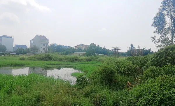 Đấu giá khu “đất vàng” ở Hà Tĩnh