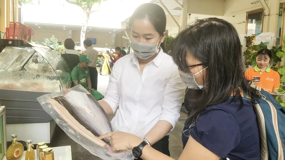  HTX Nông nghiệp Cần Giờ Tương Lai đang xây dựng thương hiệu cá dứa Cần Giờ, hướng tới phục vụ thị trường trong nước và xuất khẩu
