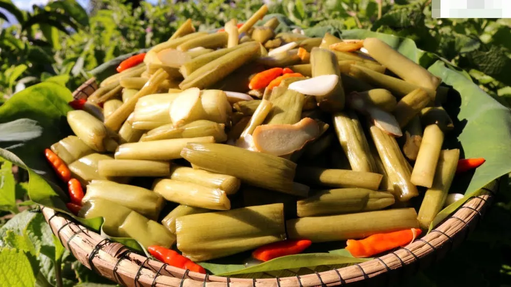 Môn nước tình quê