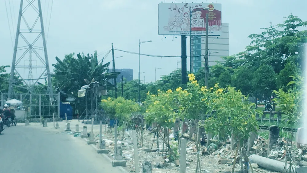 Bãi xà bần đã được thay bằng cây xanh
