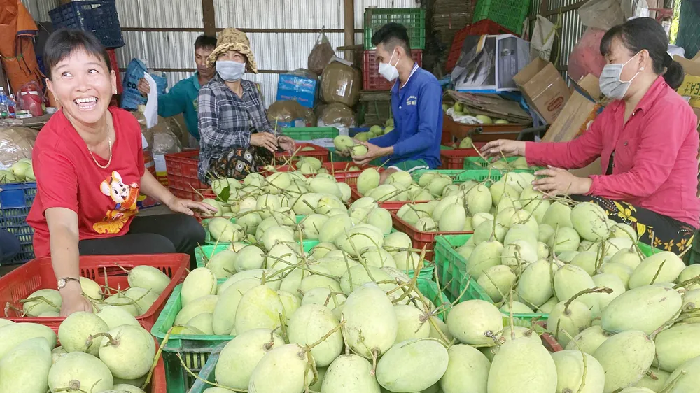 Nông sản miền Tây hút hàng