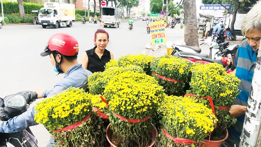 Thời tiết Tết Nguyên đán ở Nam bộ như thế nào?