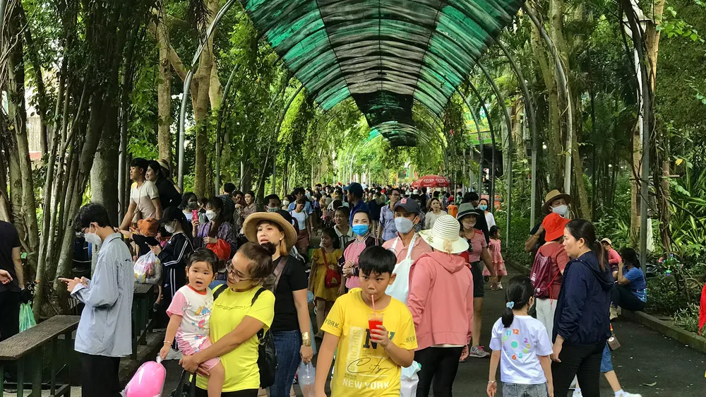 Làm mới không gian giải trí