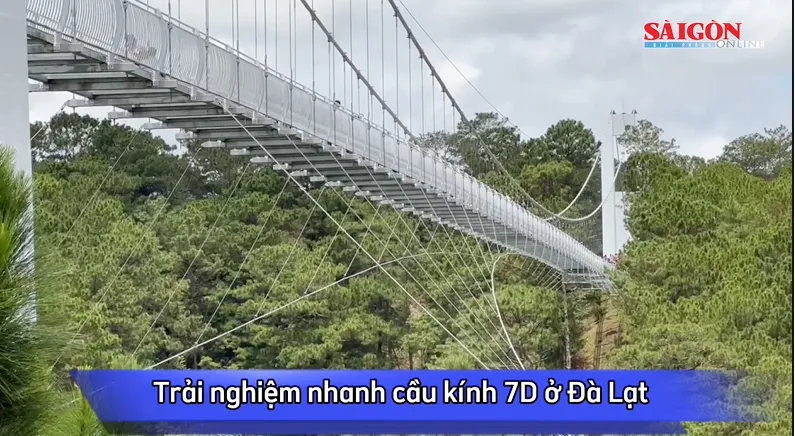 Trải nghiệm cầu kính 7D ở Đà Lạt